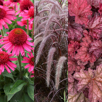 Flora Trio Candy